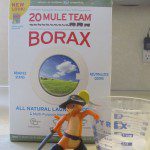 Borax Ant Killer Step 2