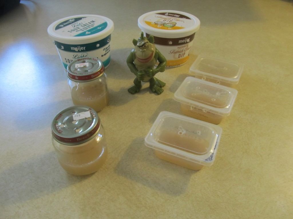StepbyStep Instructions Borax Ant Killer