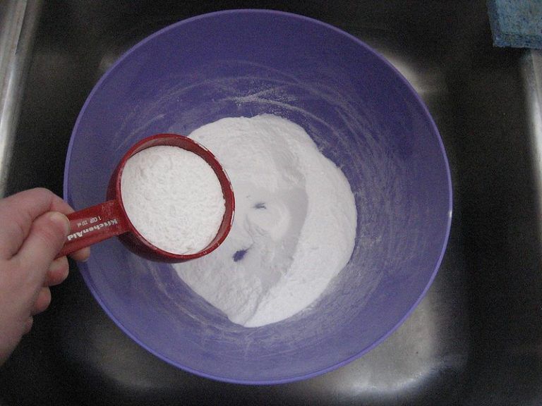 A Simple Borax Ant Killer Recipe That Actually Works 100 Borax Ant Killer